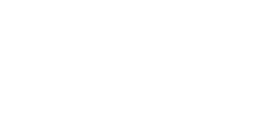 Vega Inteligence